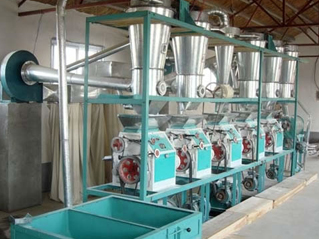 wheat flour milling plant