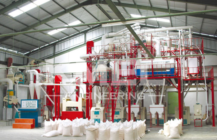 50TPD corn flour milling