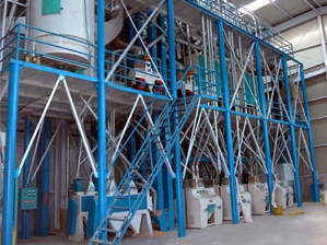 80t wheat flour milling plant