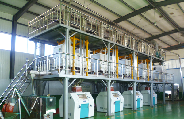 chili processing plant