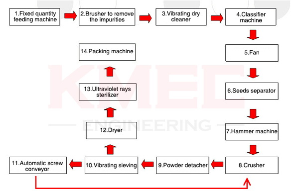 chili processing process