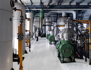 groundnut oil refining plant