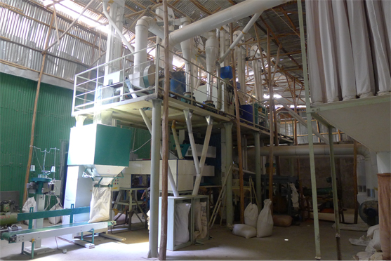 lentil processing plant