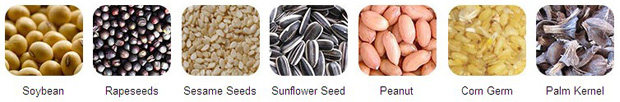 oilseeds for oil extraction