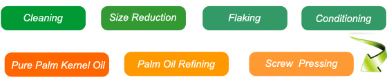 palm kernel oil extraction process