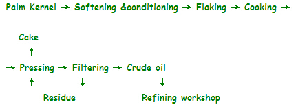 palm kernel oil process
