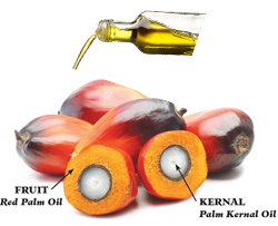 palm kernel oil