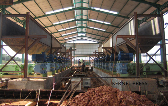 palm kernel press