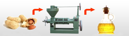 peanut oil press