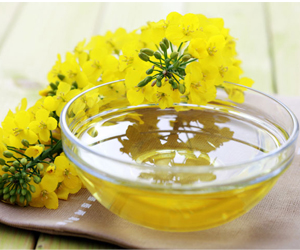 rapeseed oil benefits