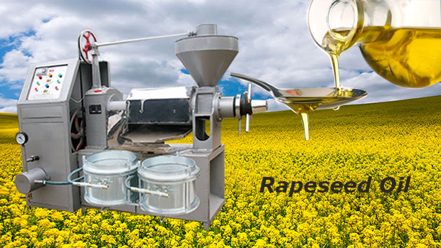 rapaseed oil press machine