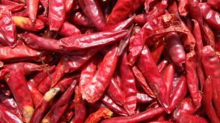 red chili