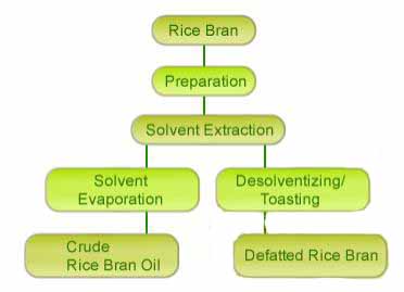 rice bran oil extraction process