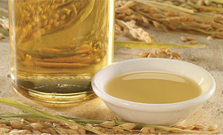 rice bran oil