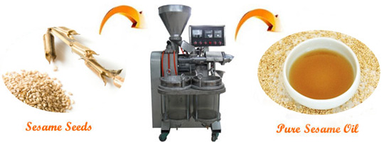 sesame oil press