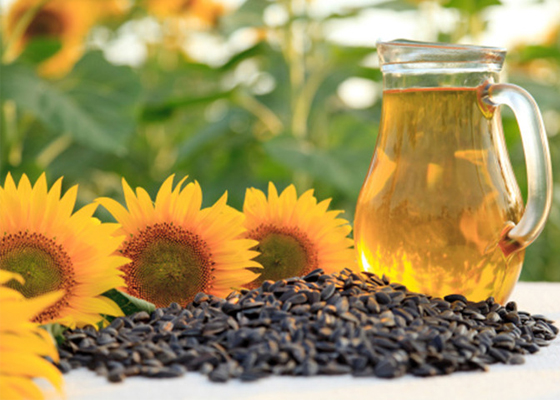 sunflower seed oil expression